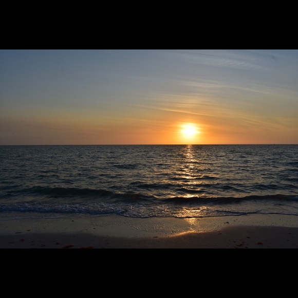 Meet your Posher, Tara - Picture 1 of 1